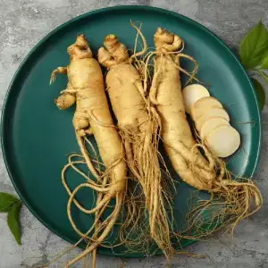 Ginseng coréen (Panax ginseng)